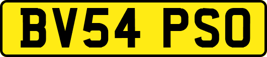 BV54PSO