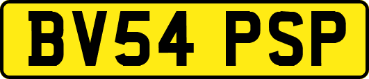 BV54PSP