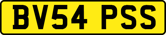 BV54PSS