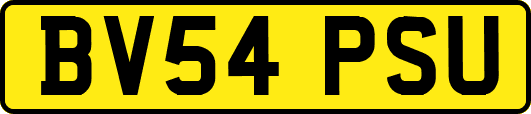 BV54PSU