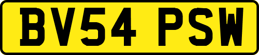 BV54PSW