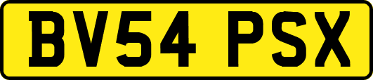 BV54PSX