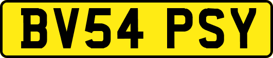 BV54PSY