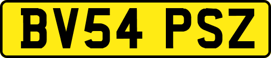 BV54PSZ