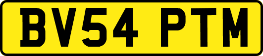 BV54PTM