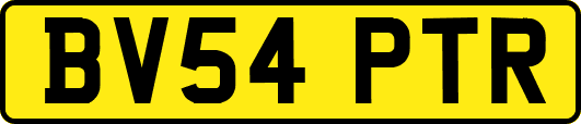 BV54PTR