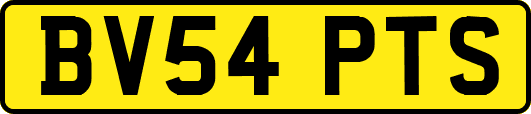 BV54PTS