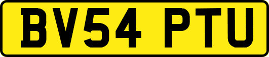 BV54PTU