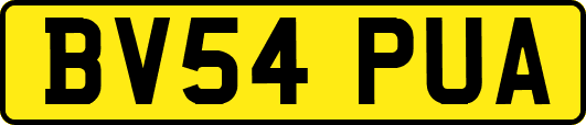 BV54PUA