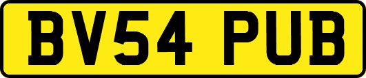 BV54PUB