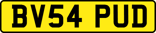 BV54PUD