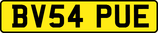 BV54PUE