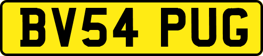 BV54PUG