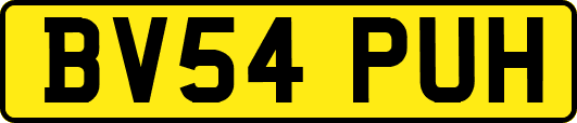 BV54PUH