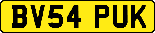 BV54PUK