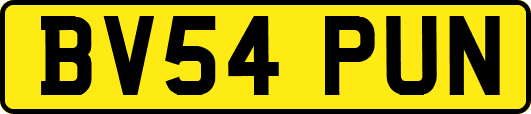 BV54PUN