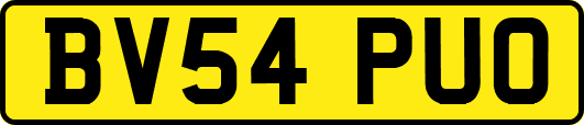 BV54PUO