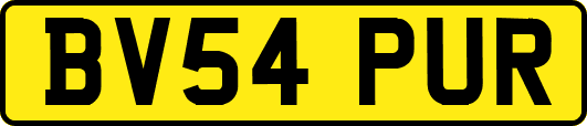 BV54PUR