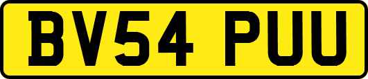 BV54PUU