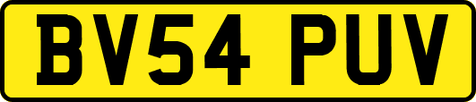 BV54PUV