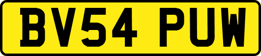 BV54PUW