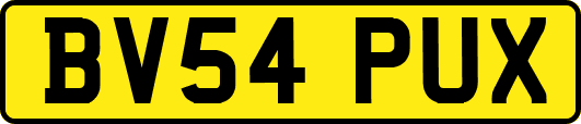 BV54PUX
