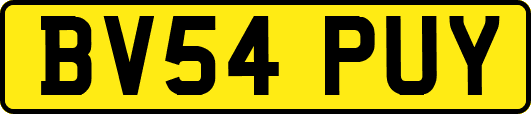 BV54PUY