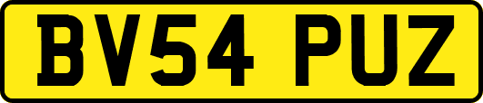 BV54PUZ