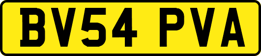 BV54PVA