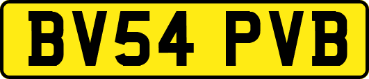 BV54PVB