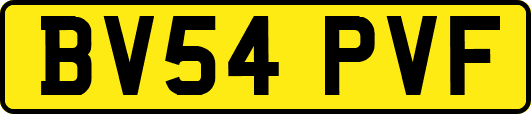 BV54PVF