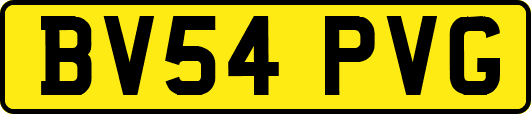 BV54PVG
