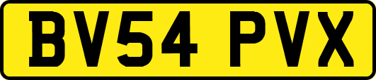 BV54PVX