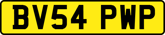 BV54PWP