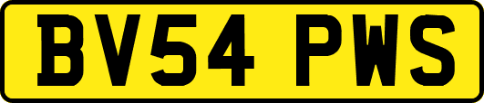 BV54PWS