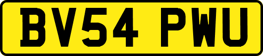 BV54PWU