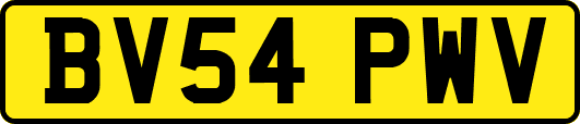 BV54PWV