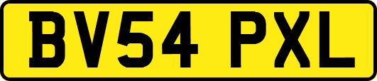 BV54PXL