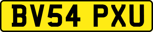 BV54PXU