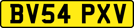 BV54PXV