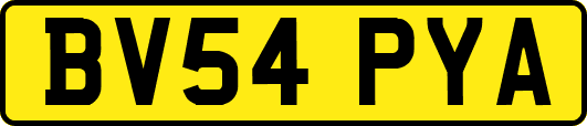BV54PYA