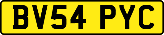 BV54PYC
