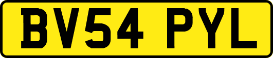 BV54PYL