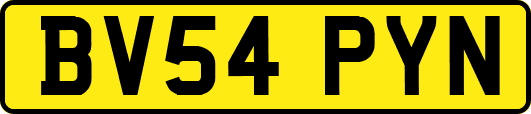 BV54PYN