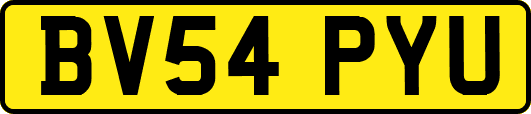BV54PYU