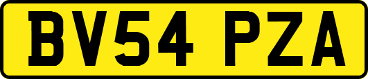 BV54PZA