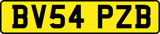 BV54PZB