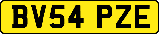 BV54PZE