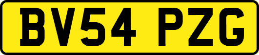 BV54PZG