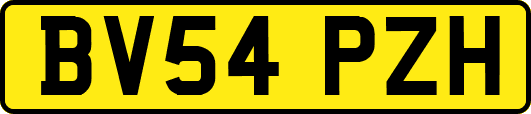 BV54PZH